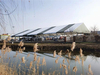 Big Wedding Tent