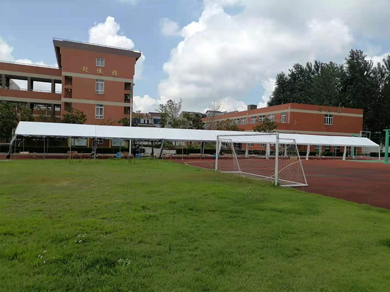 2021 Covid-2019
